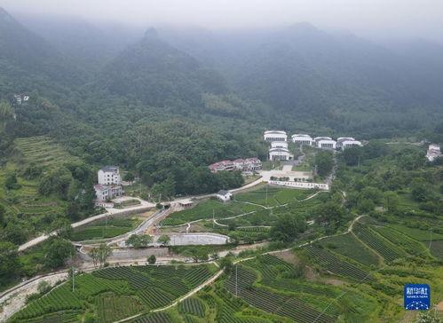 霍山县青山乡新闻头条,乡村振兴战略下的绿色发展新篇章