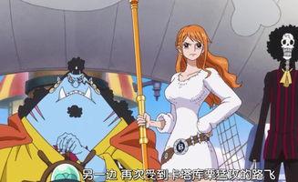 路飞四档爆料视频大全集