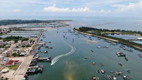 今日头条湛江赤坎,探寻历史与现代交融的活力之城