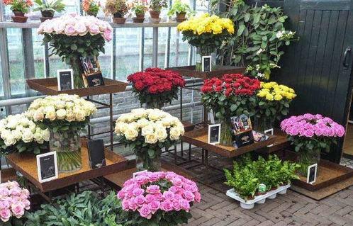 花店老板爆料视频大全