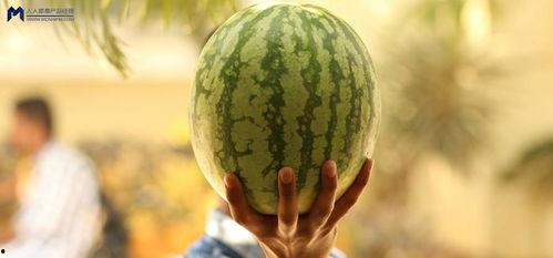 在哪里可以吃娱乐圈的瓜,揭秘各大热门餐厅的独家瓜料